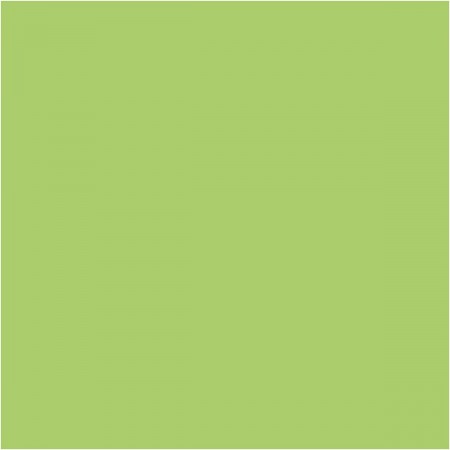 Plus Color Farba akrylowa 250 ml Lime Green | Dadum Kraków